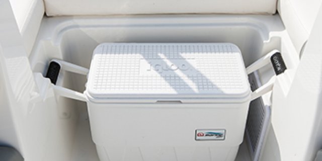 Bayliner Element E16 with cooler